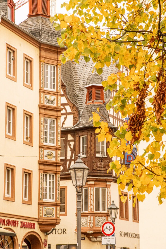 view of timber frame buildings in old town with autumn tree while in koblenz germany