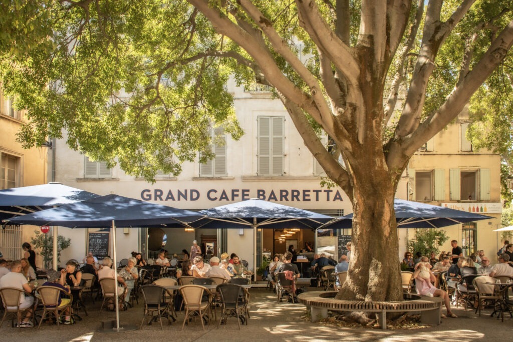 Busy outdoor terrace at Grand Café Barretta beneath a large shade tree in Avignon's historic centre, Provence.