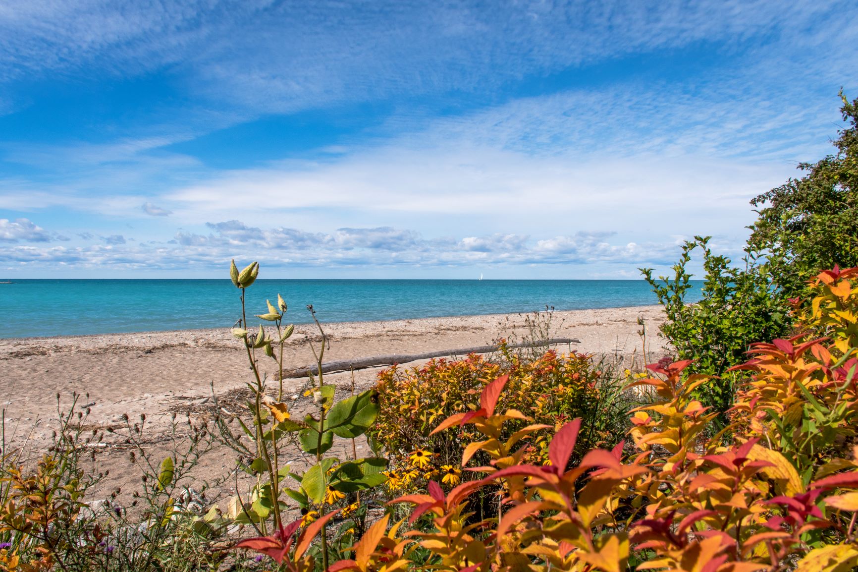 Cottage rentals in Ontario's West Coast is from Grand Bend to Bayfield to Goderich. Check out this list of the best Airbnb properties.