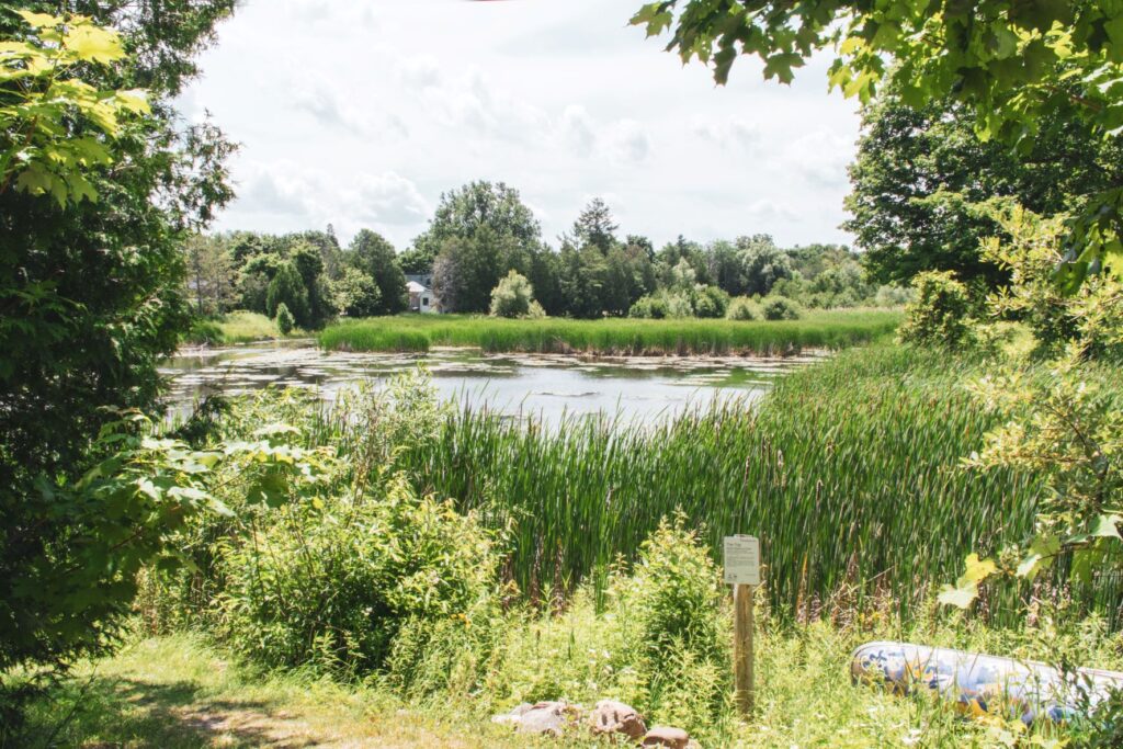 pond with greenery around it as one of the things to do in caledon ontario