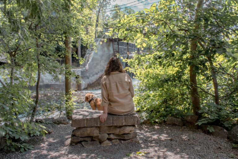 girl and dog with waterfall