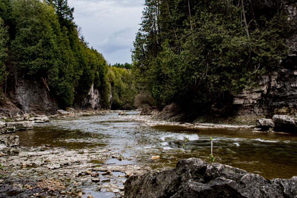 river with boulders and trees in elora ontario