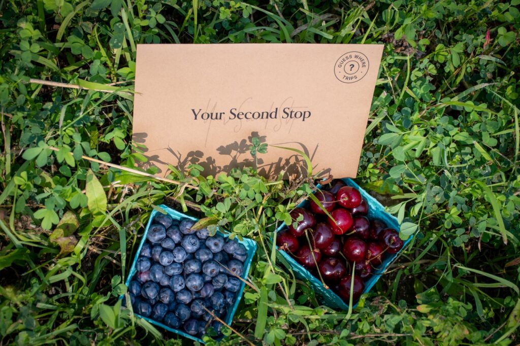 Guess Where Trips envelops with baskets of blueberries and cherries