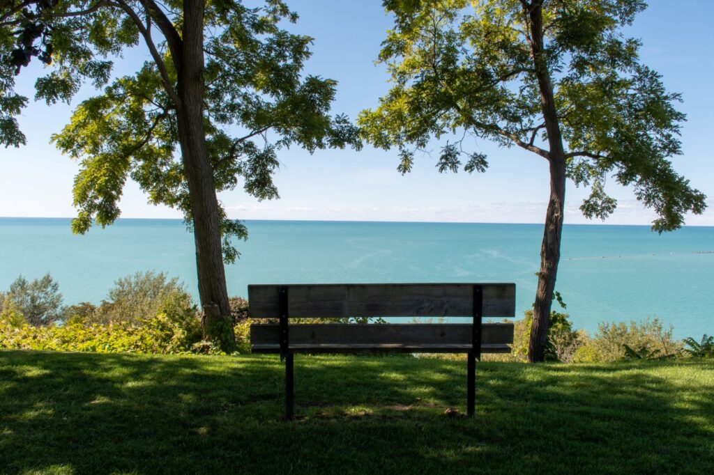 park bench with trees with view of lake in beautiful tons in ontario