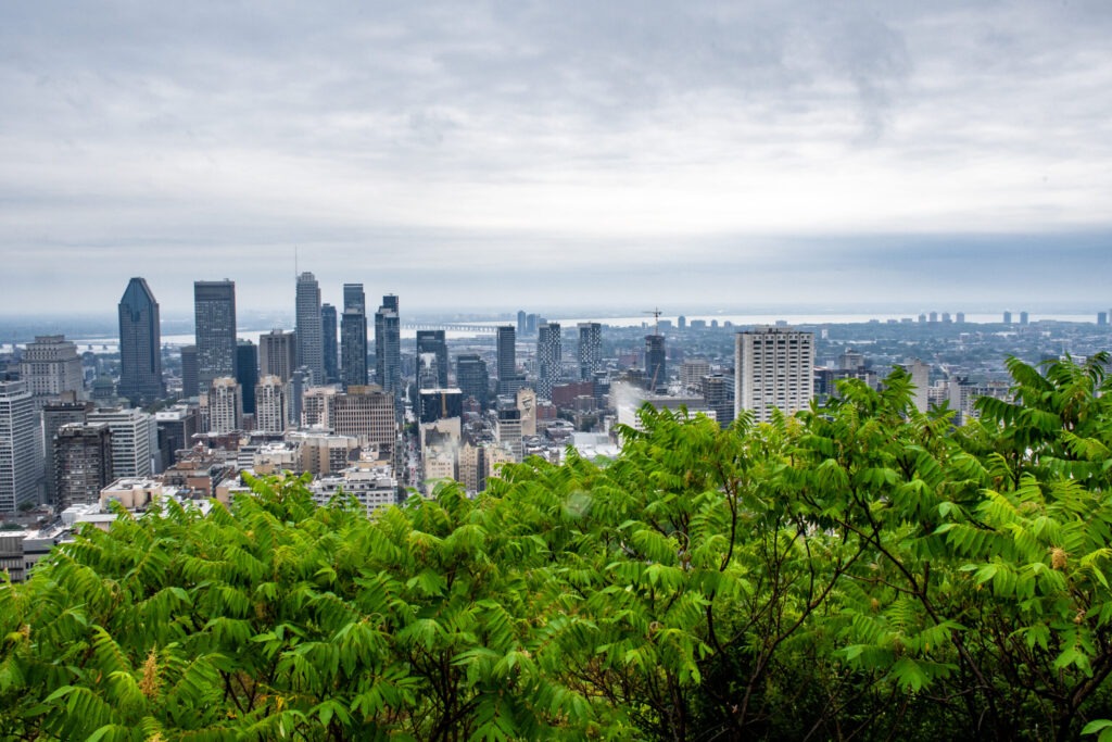 skyline view of neighbourhoods in Montreal
