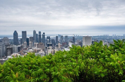 skyline view of Montreal