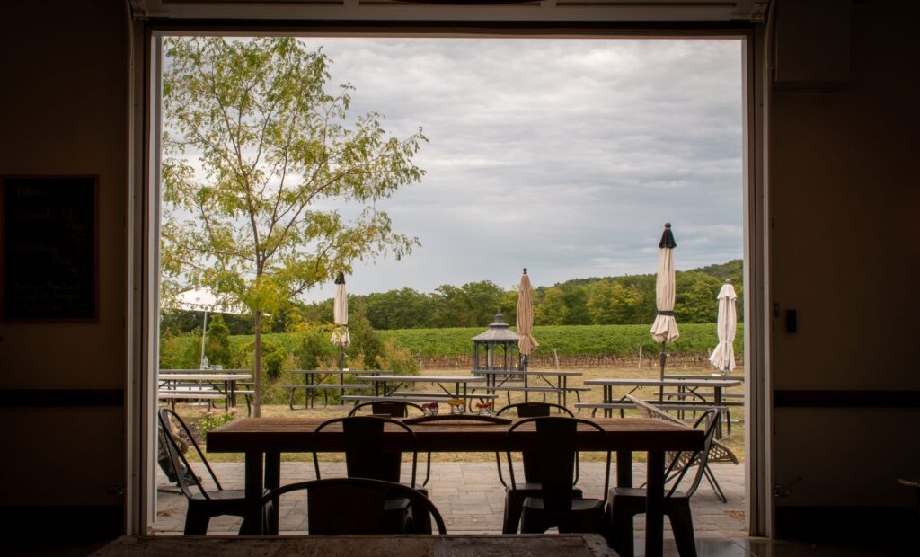 view of vineyards in Niagara Region beamsville winery