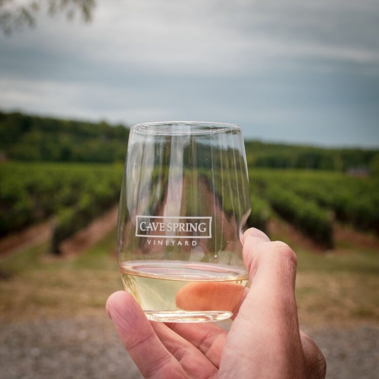 Dog-friendly wineries in Niagara Region of Ontario. The Beamsville Bench wineries of Rosewood, Kew Vineyards, Cave Springs, Featherstone, and Honsberger.