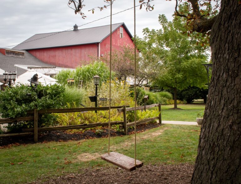 Red Barn with swing on winery in Niagara Region