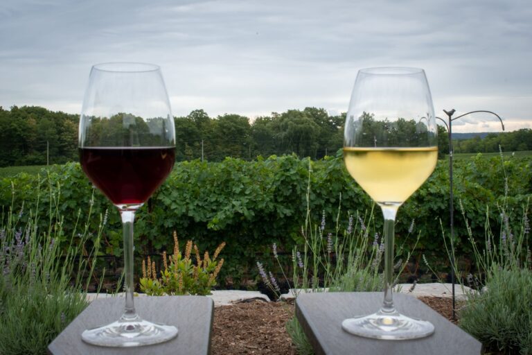 Dog-friendly wineries in Niagara Region of Ontario. The Beamsville Bench wineries of Rosewood, Kew Vineyards, Cave Springs, Featherstone, and Honsberger.