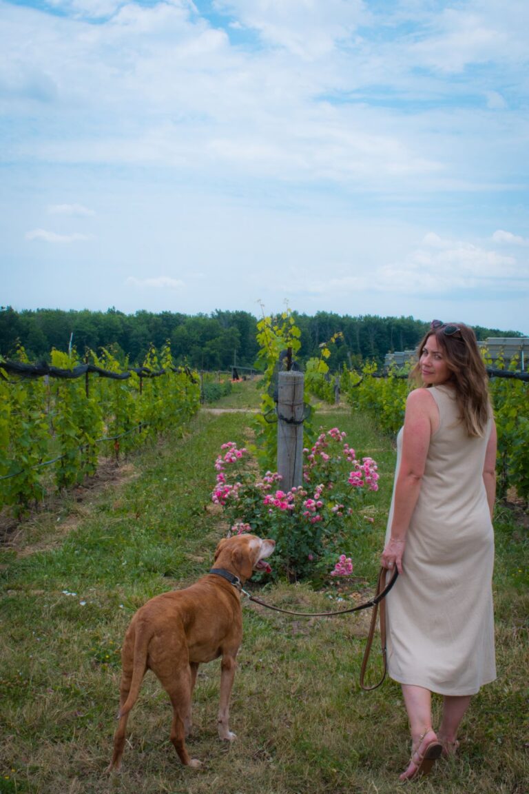 girl with dog in vineyard