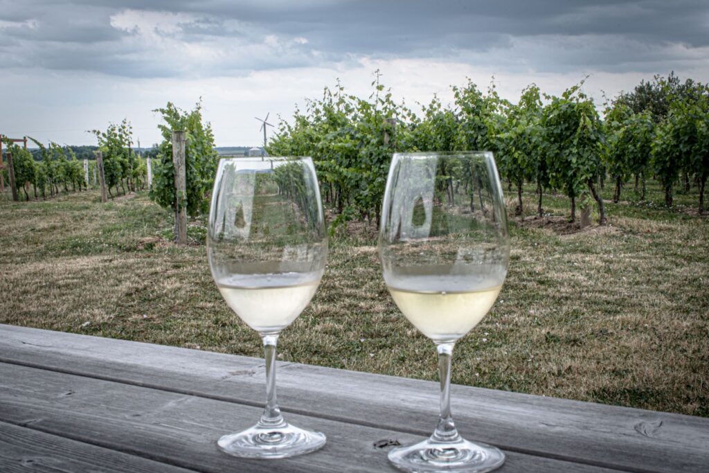 2 glasses of white wine winery in beamsville