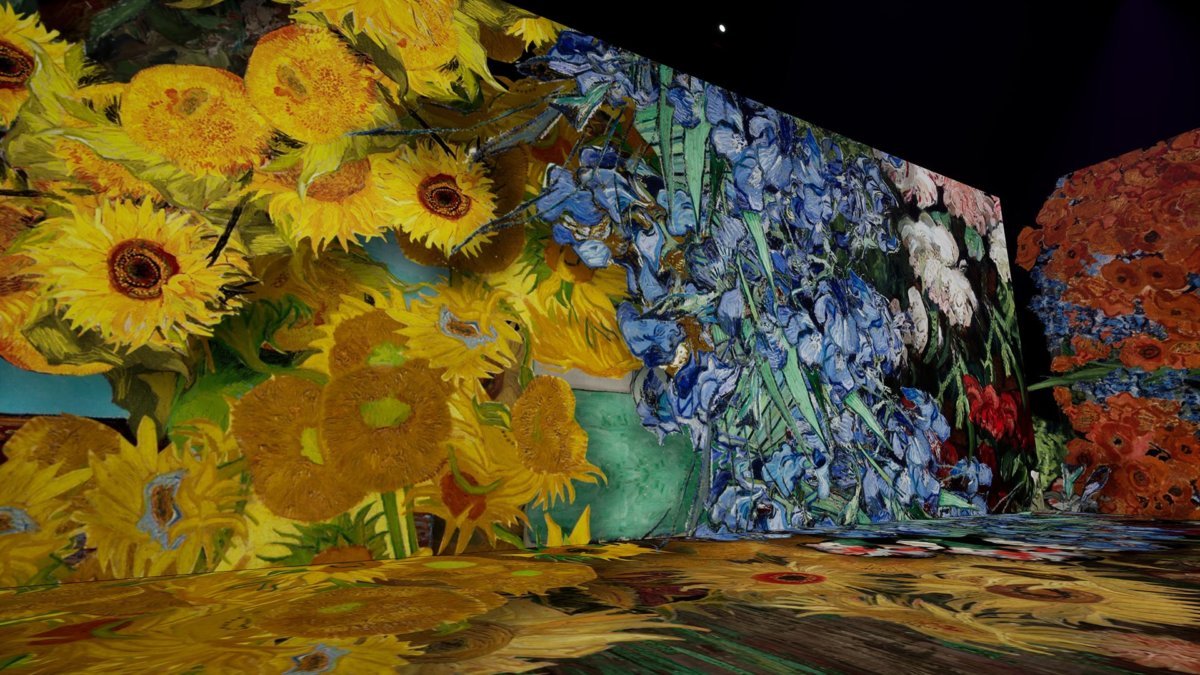 Beyond Van Gogh Immersive exhibit. It's a multimedia production, one that takes familiar images of Van Gogh's paintings and blows them up into light projections and timed to music.