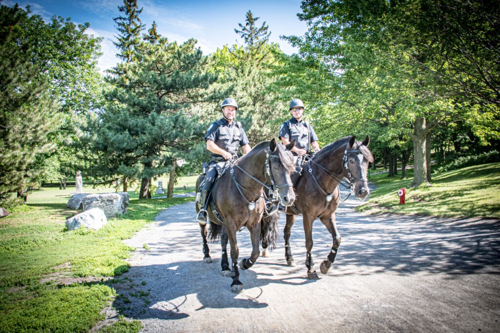 two police on horses in park in neighborhood montreal
