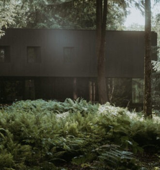 ferns with trees with modern black chalet in eastern townships quebec