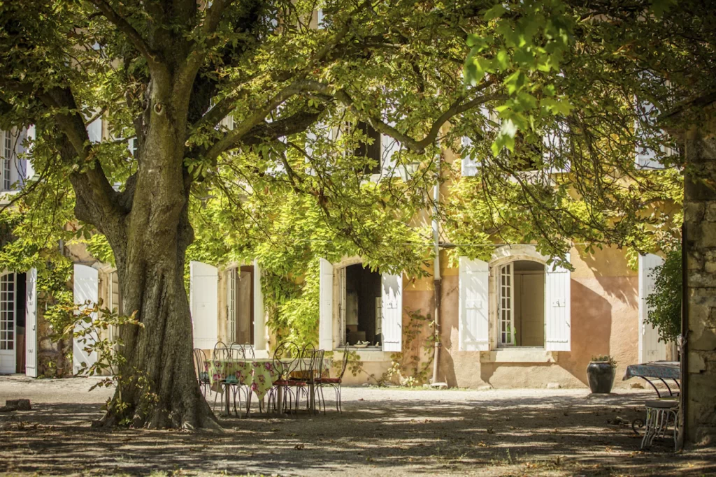 house under tree canopy in villages in luberon
