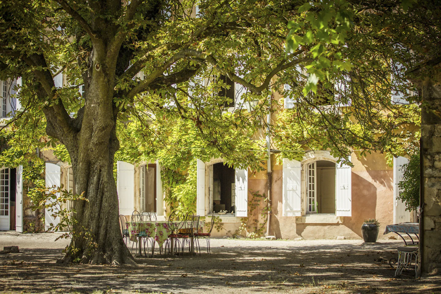 village house in luberon provence under tree canopy
