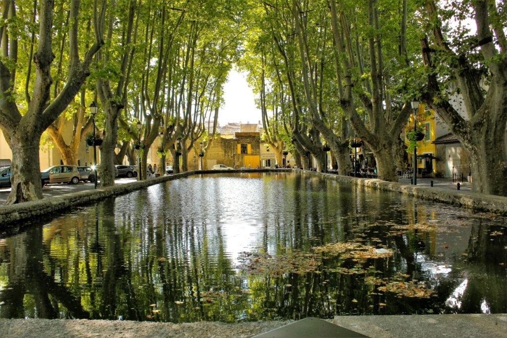 Best Luberon Villages to Visit in Provence 9 reflection pool with large plane trees in luberon provence