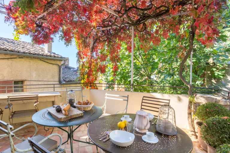 dining under vines in a village in luberon in Provence