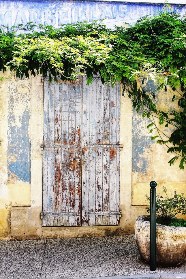 weathered door with vines