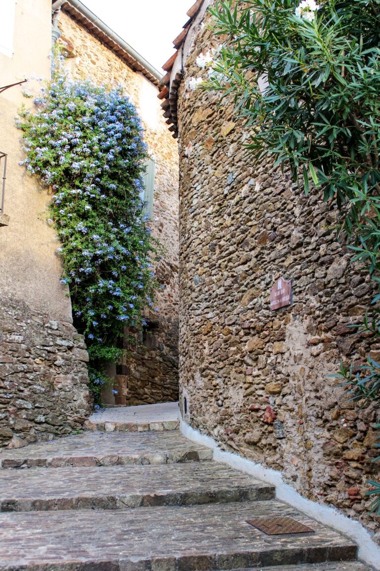 ancient stone building with curved wall with vines growing up alongside