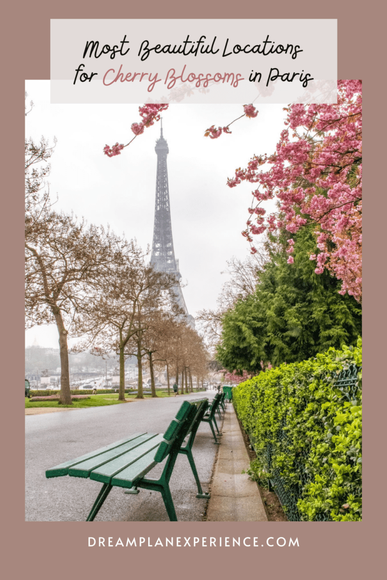 Eiffel Tower and pink cherry blossom branches
