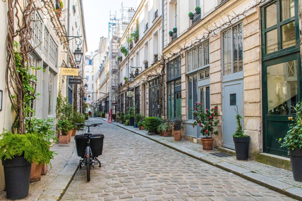 paris cobblestone street with shops lined up on either side, plants at door step and bike 