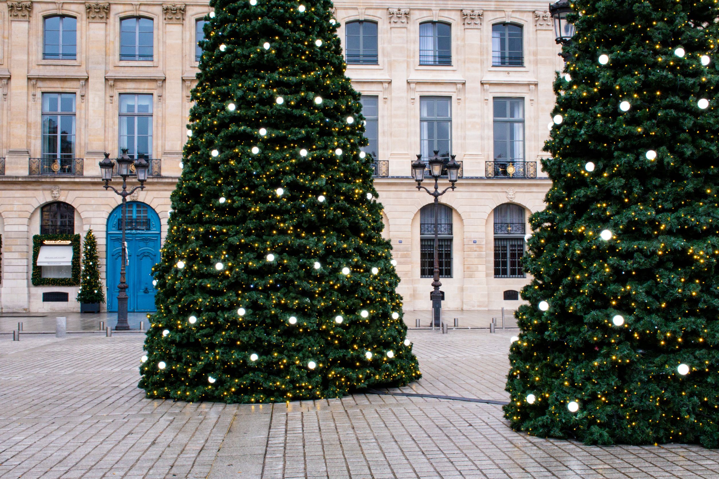 christmas trees in paris