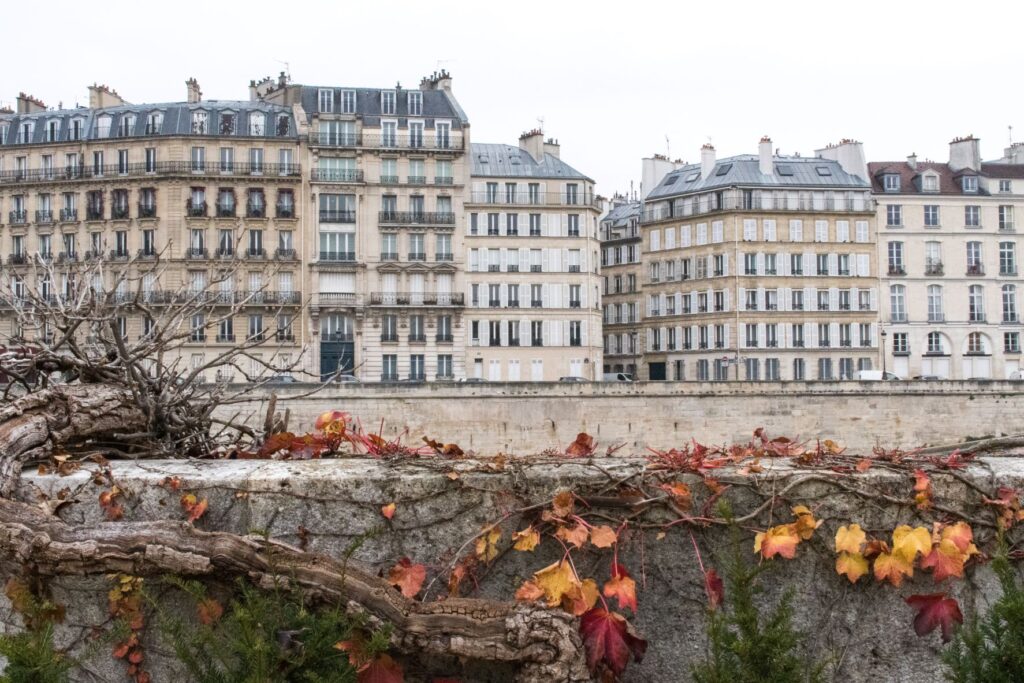 Class Parisian architecture in townhomes with gray rooftops and long windows. Some of these are home to luxury boutique hotels. 