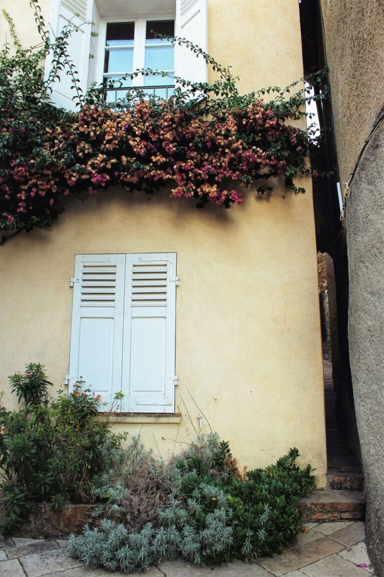 ancient yellow building with pink flowers hanging from windowsill