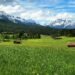 Visit one of Bavaria's must-see destinations - Garmisch-Partenkirchen in Germany