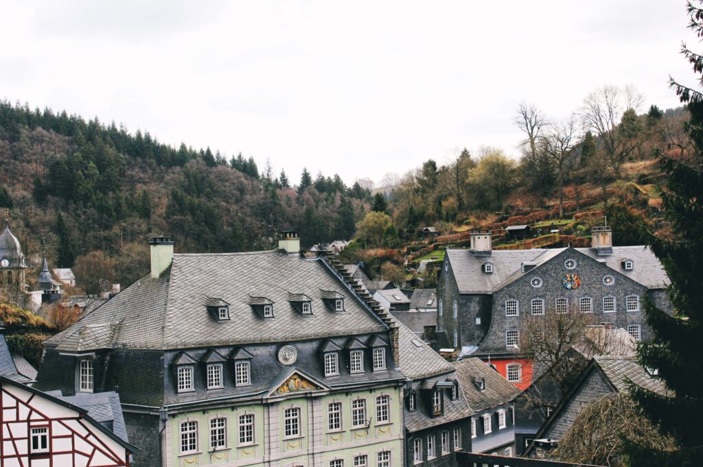 view of rooftops monschau germany