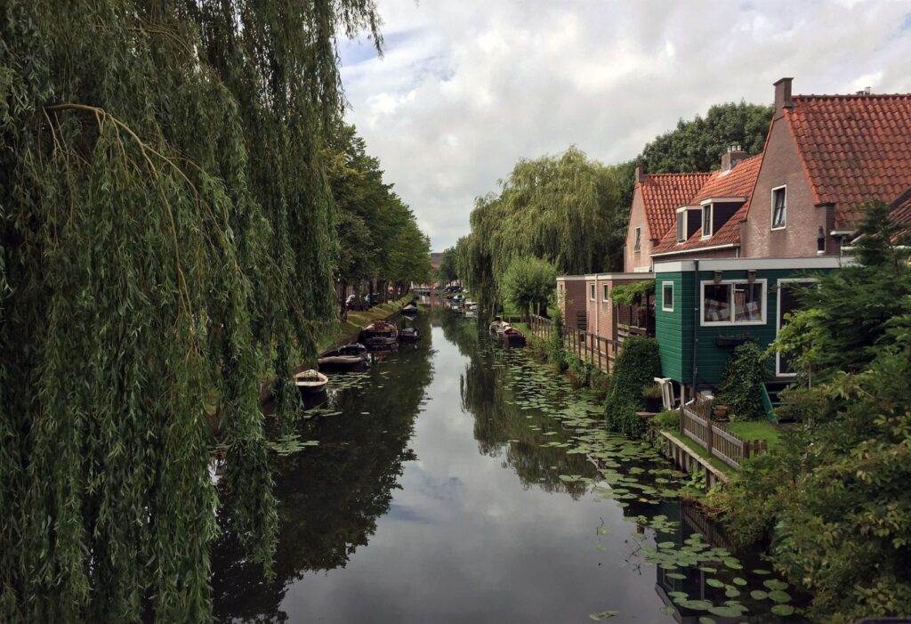 canal with trees, houses on riverbank in amsterdam countryside