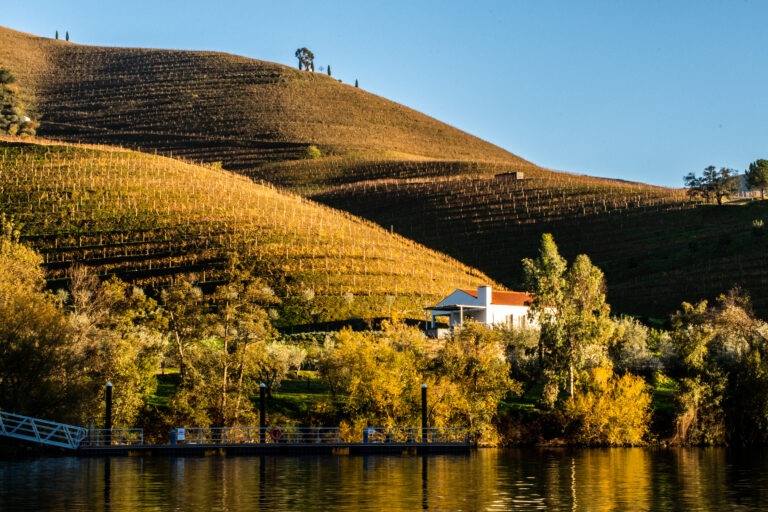 douro river and hillside with vineyards
