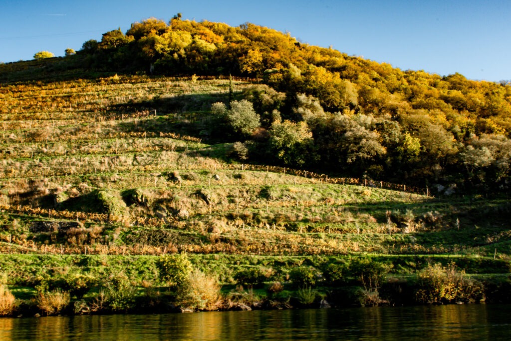 douro river with hillside vineyards in douro valley portugal