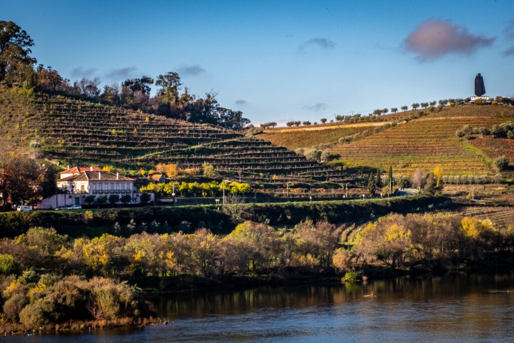 douro river with hillside vineyards on a wine tasting tour in douro valley portugal
