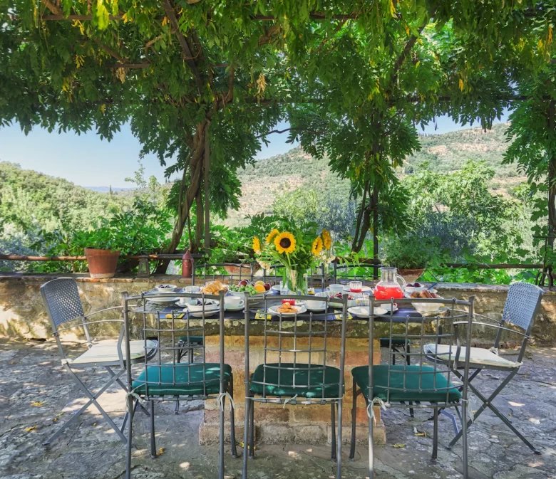 outdoor dining of table and chairs under ivy pergola with views to countryside in tuscany