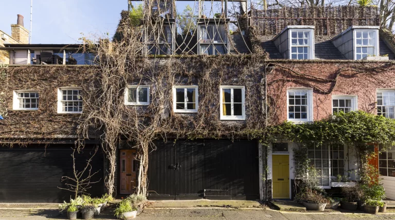 townhouse with ivy