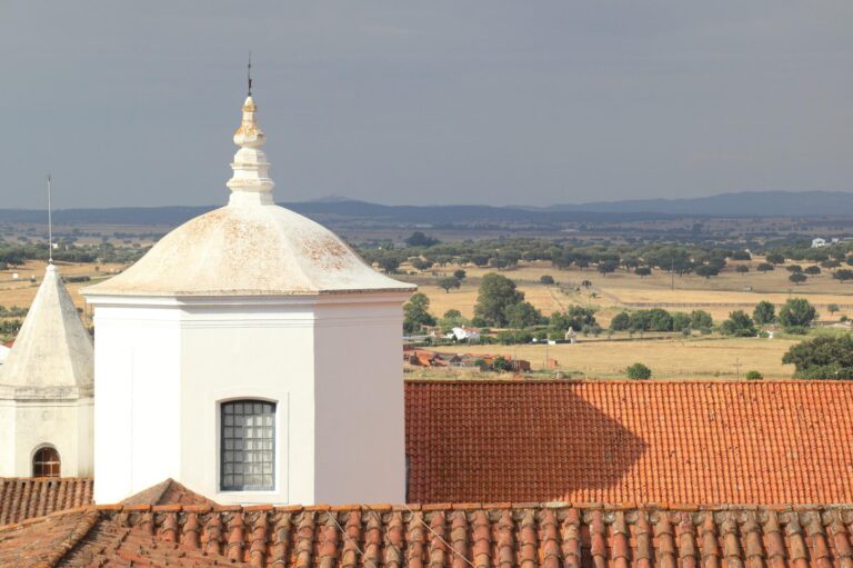 red rooftops with fields in evora portugal